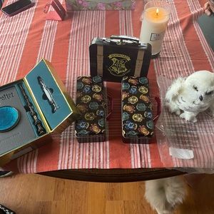 All Harry Potter stuff